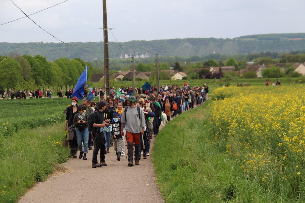 Des bâtons dans les routes