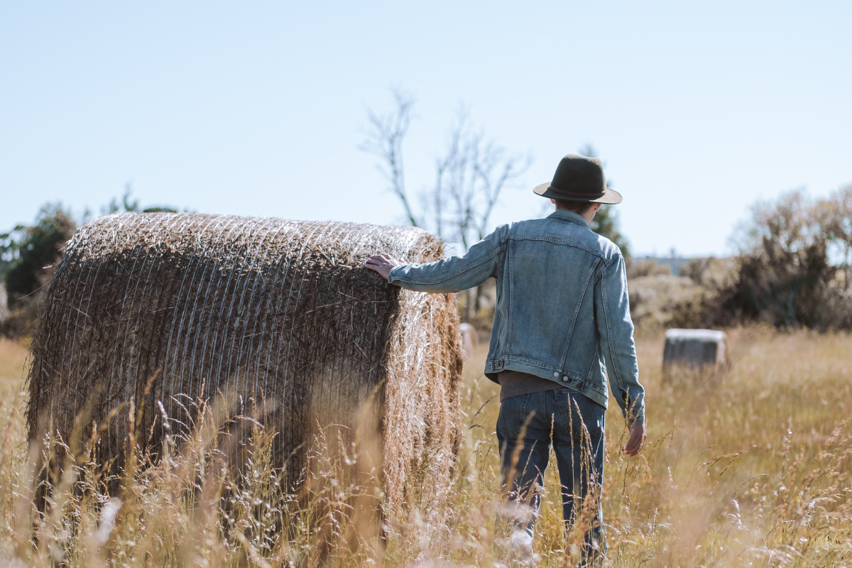 Rural bien qui rural dernier