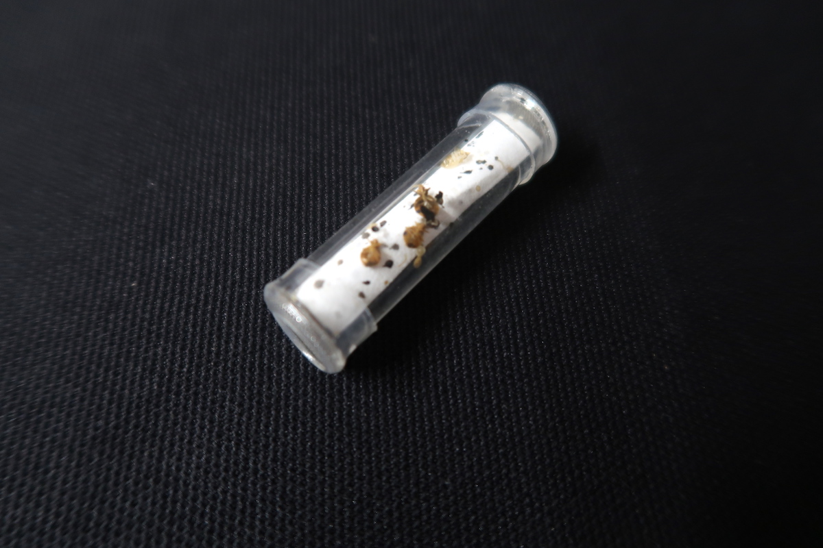 La philosophie des piqûres