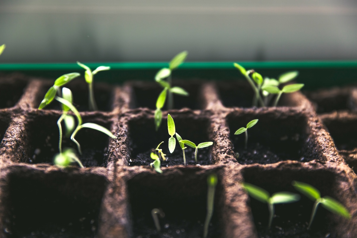 On n’est pas tout sol