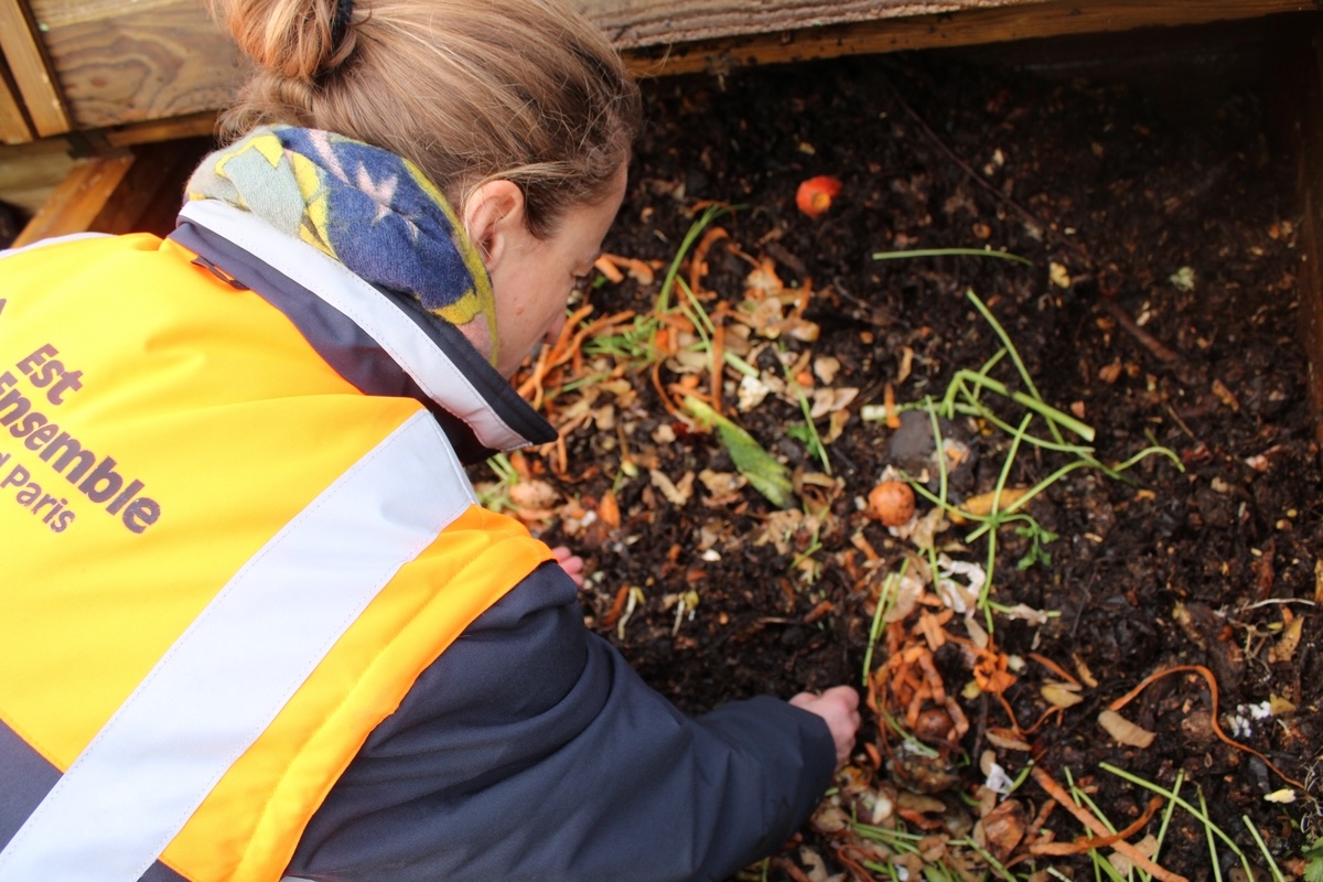 Maîtres jet d’ail