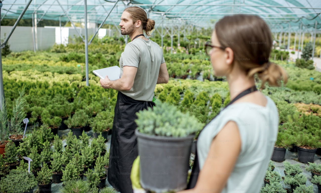Lycées dans le sens du poil