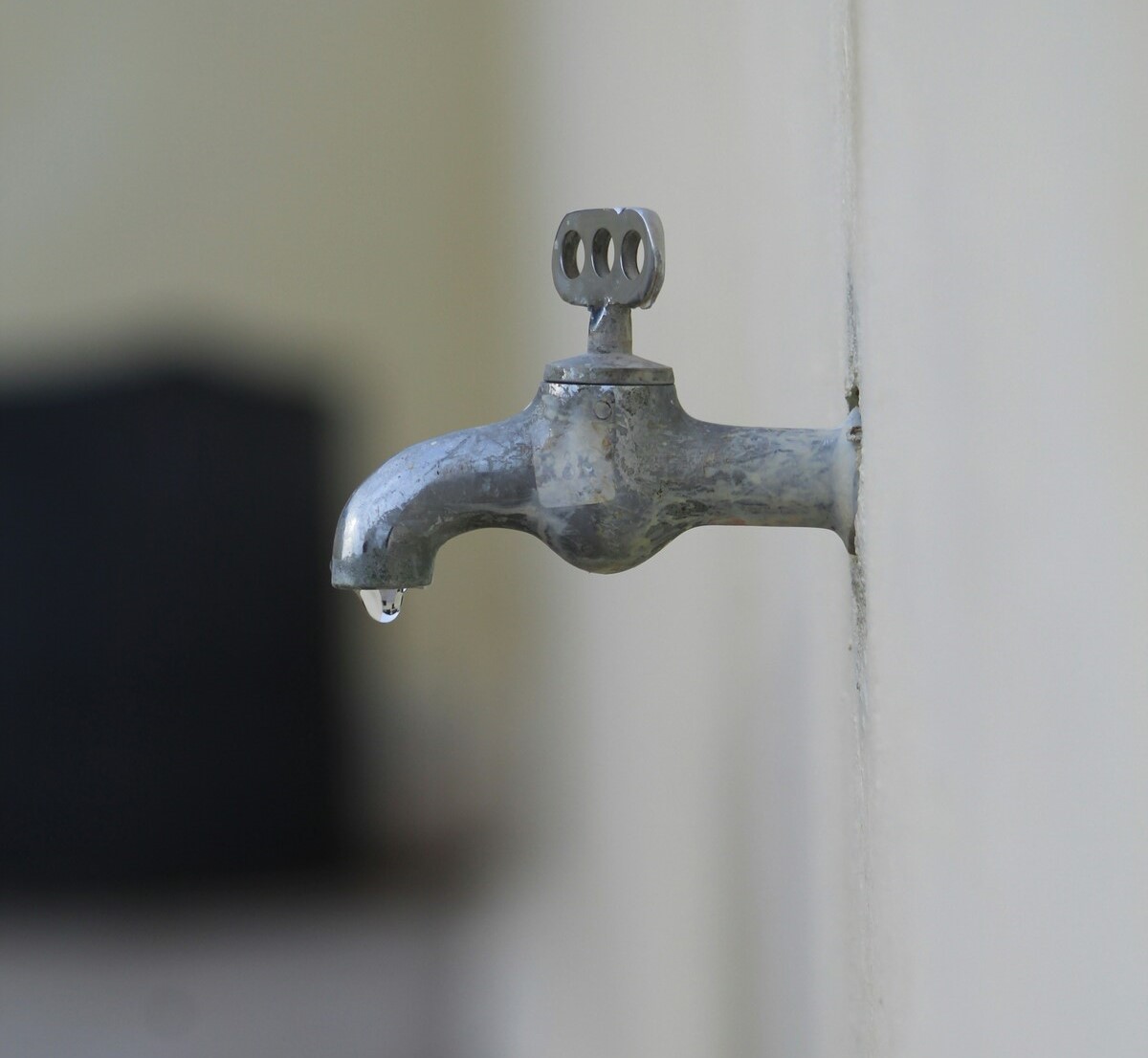 La voix de la ration