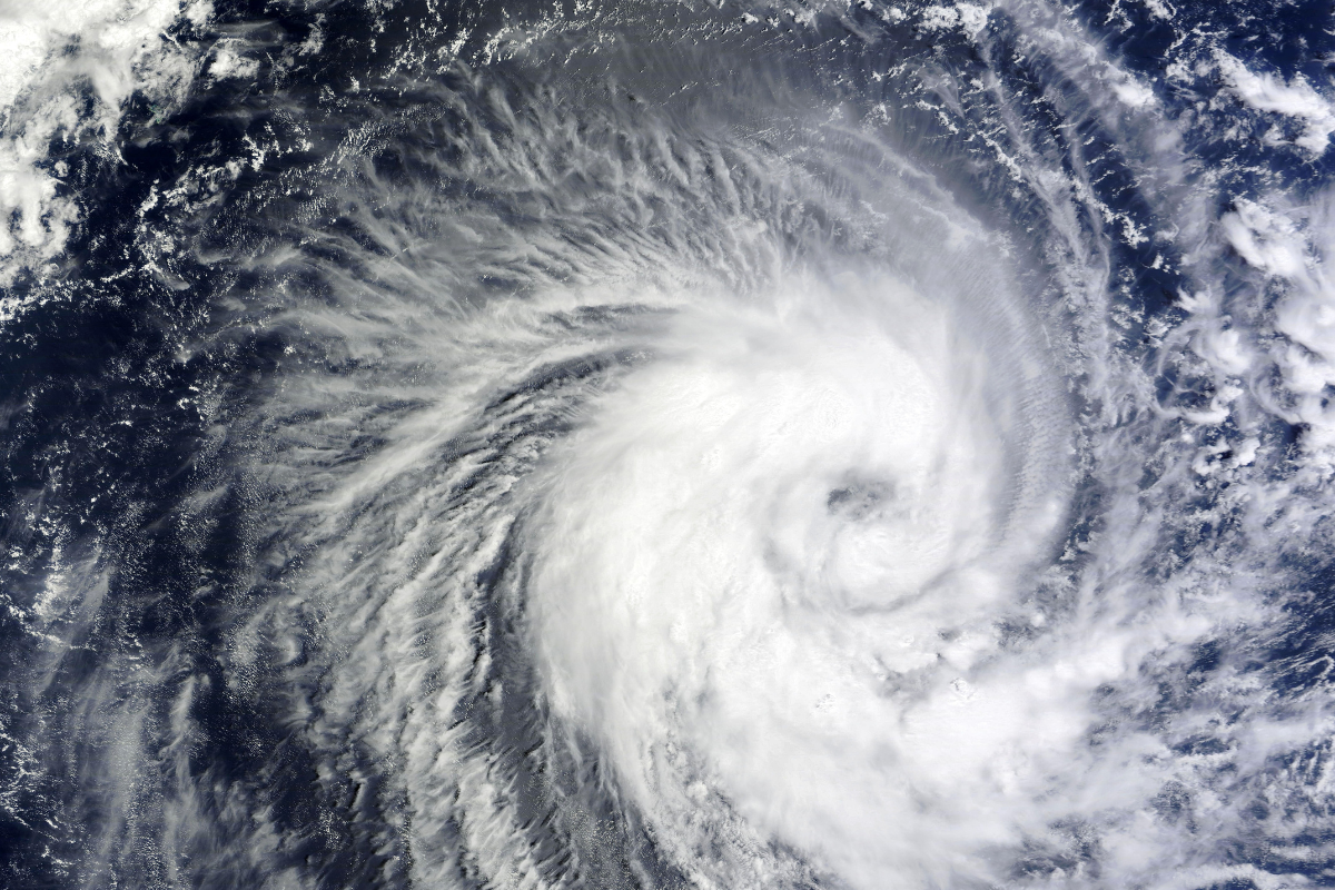 Un typhon, font, font