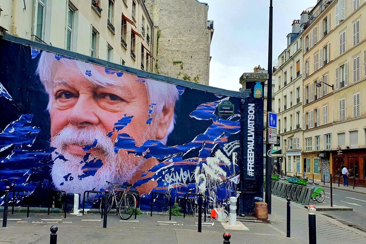 Édition spéciale : En Paul position