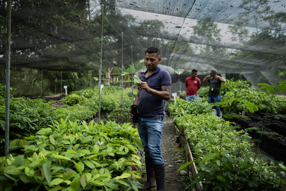 FARC d&rsquo;attraction