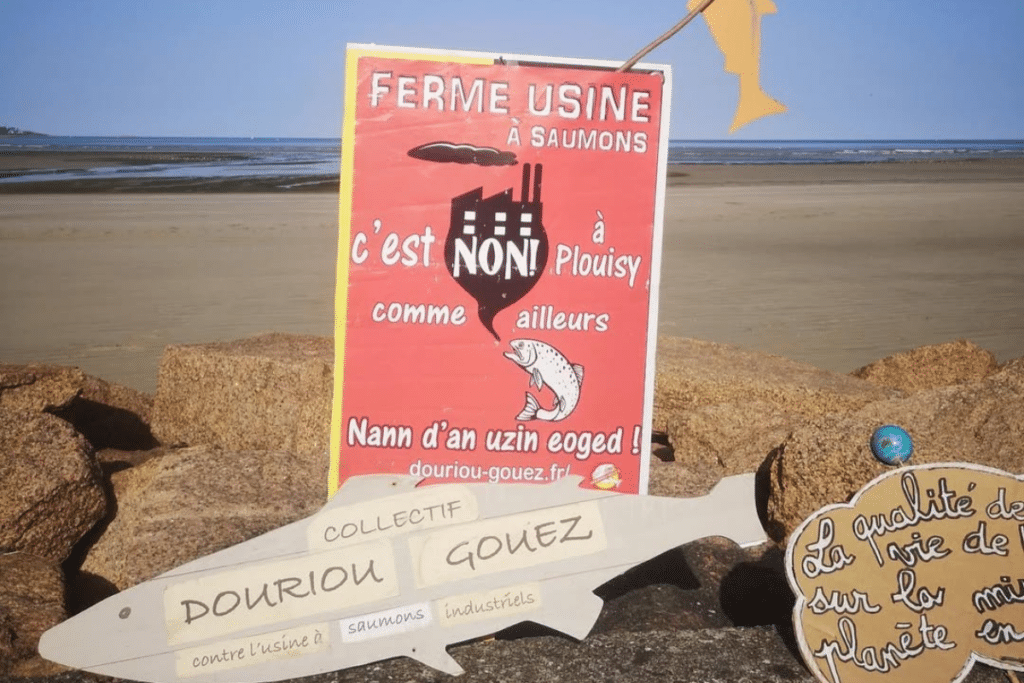 Mieux victoire que jamais