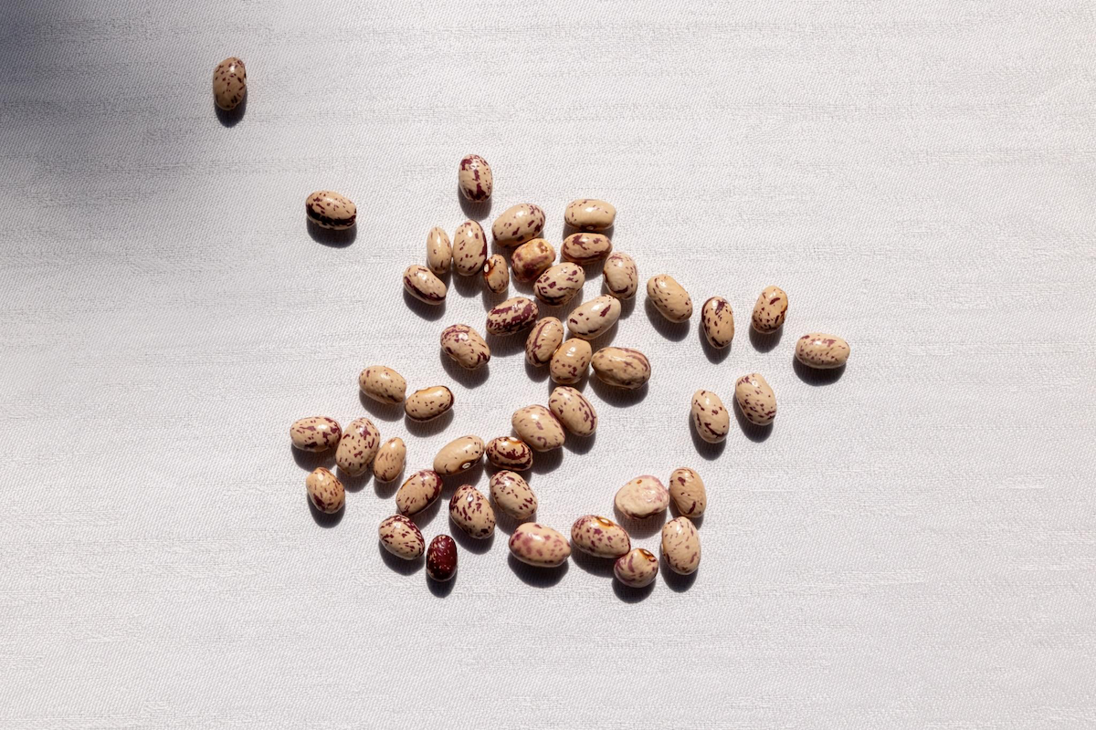 La faim des haricots