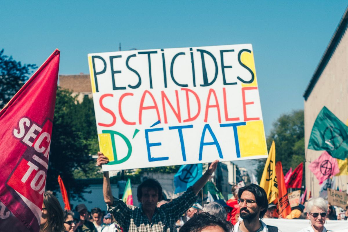 Contrebande organisée