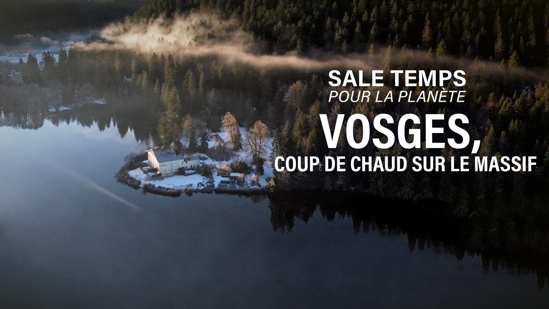Dans les Vosges, coup de chaud sur le massif