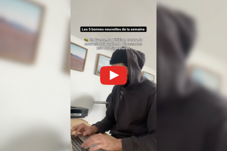 Un escargot des Bermudes sauvé par des scientifiques, une campagne de boycott contre ChatGPT : les bonnes nouvelles de la semaine