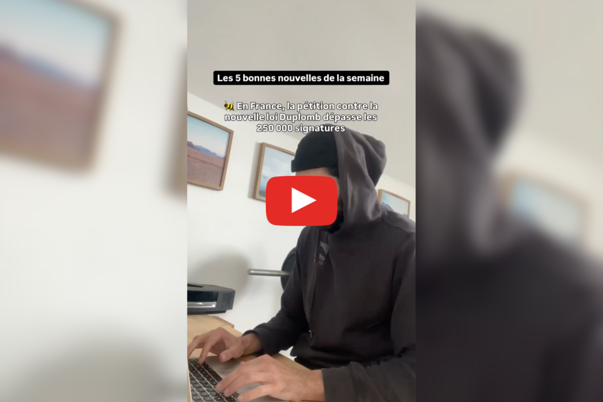 Un escargot des Bermudes sauvé par des scientifiques, une campagne de boycott contre ChatGPT : les bonnes nouvelles de la semaine