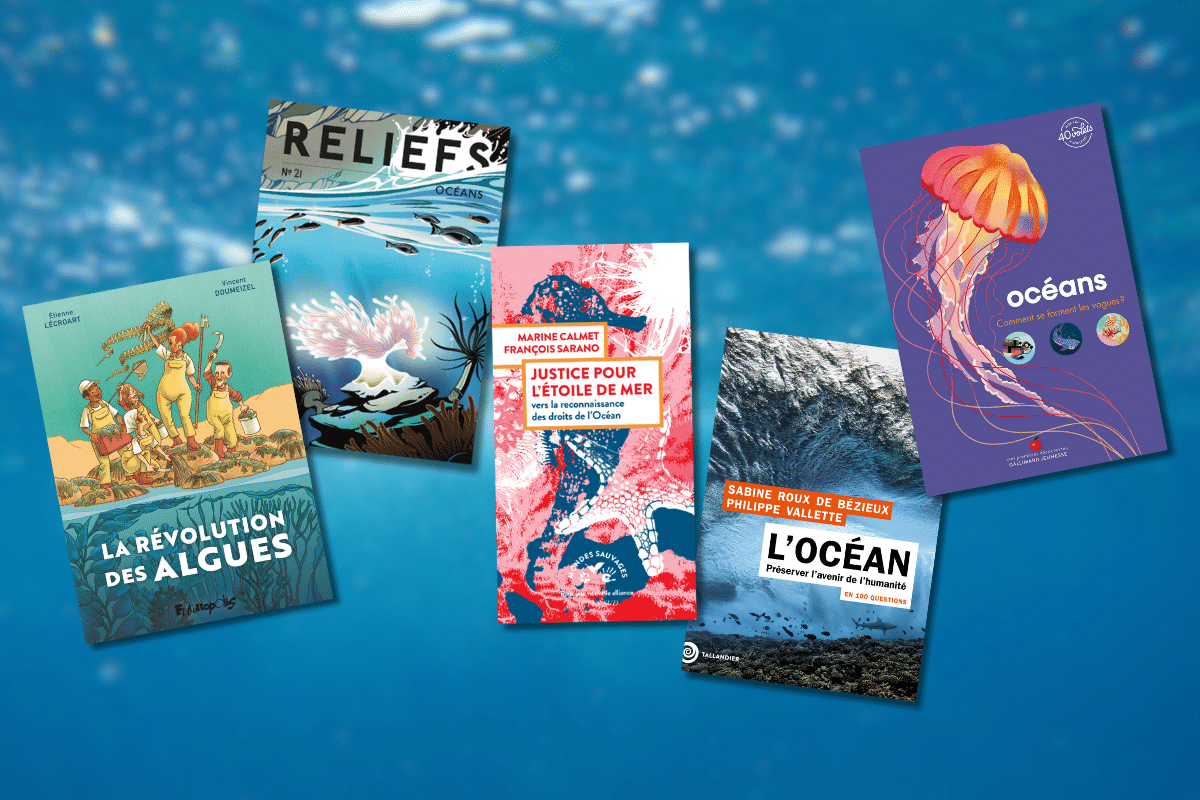 «Comment se forment les vagues ?», «Justice pour l’étoile de mer»… cinq conseils lecture sur l’océan et ses richesses