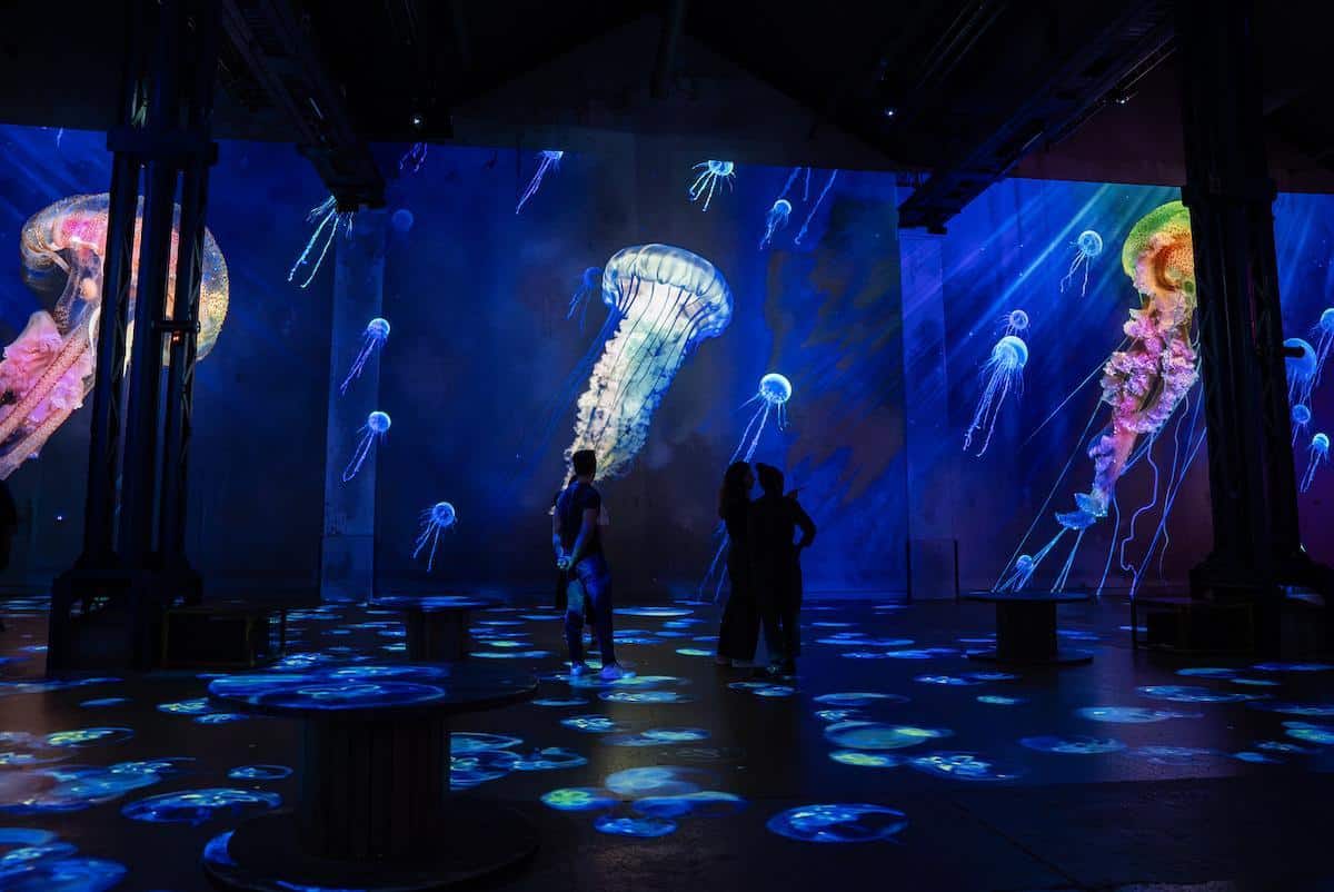 Sous l’océan et à travers le temps, plongez au cœur de la nature dans ces deux expositions immersives
