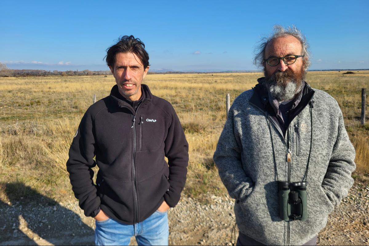 «Une balafre au paysage» : dans le sud-est, le projet de ligne à très haute tension électrise agriculteurs et militants écologistes