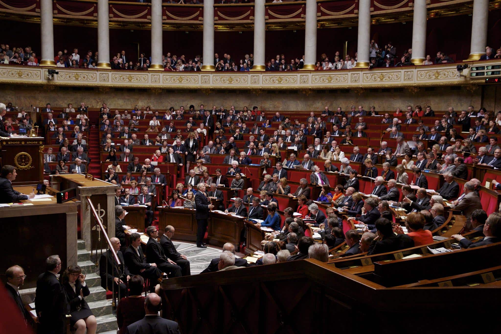 Que peut l’Assemblée nationale pour l’écologie ?
