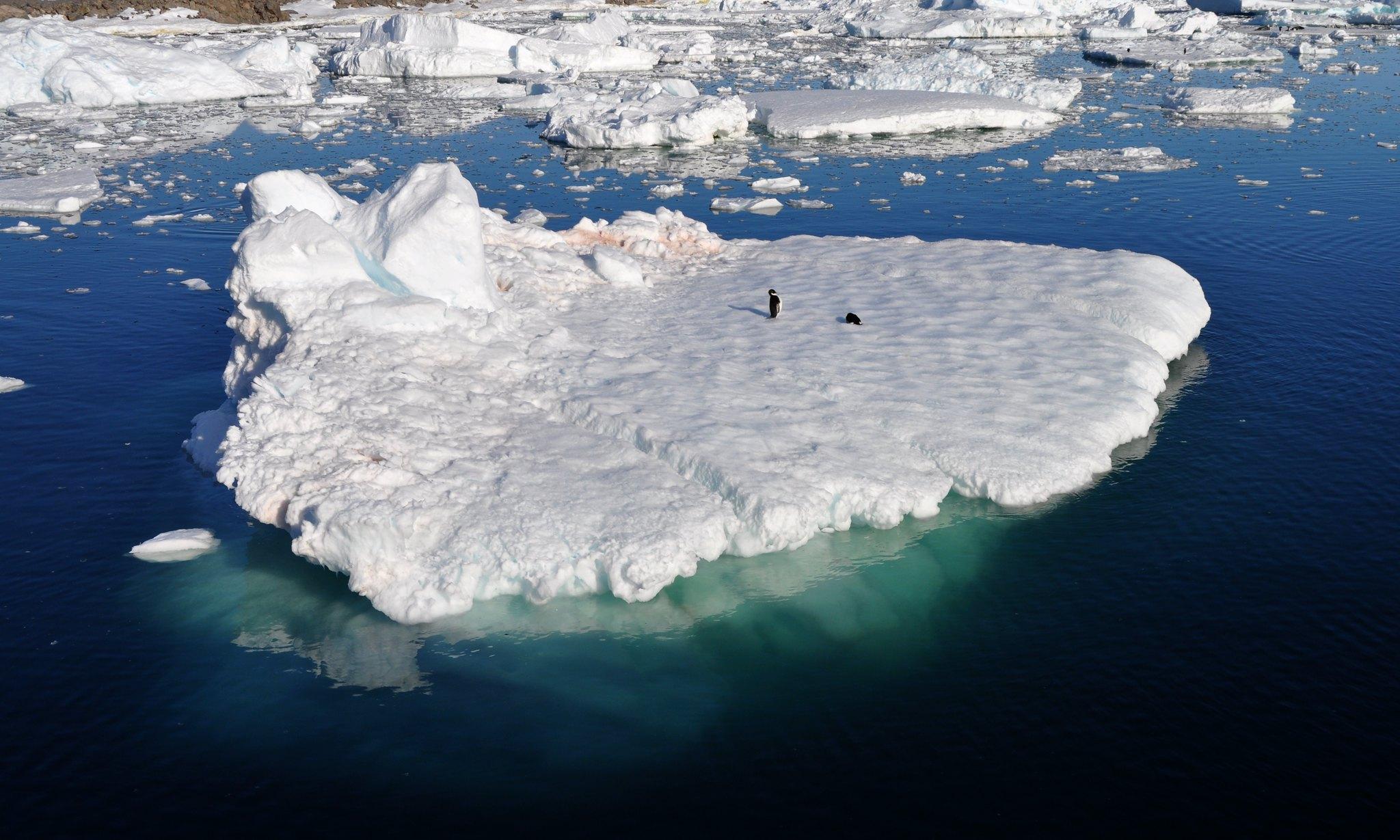 L&rsquo;Antarctique est en proie à une vague de chaleur inédite