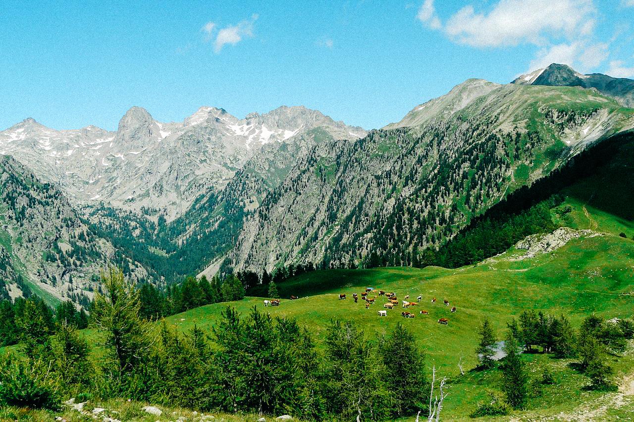 Les pesticides bientôt bannis des zones Natura 2000