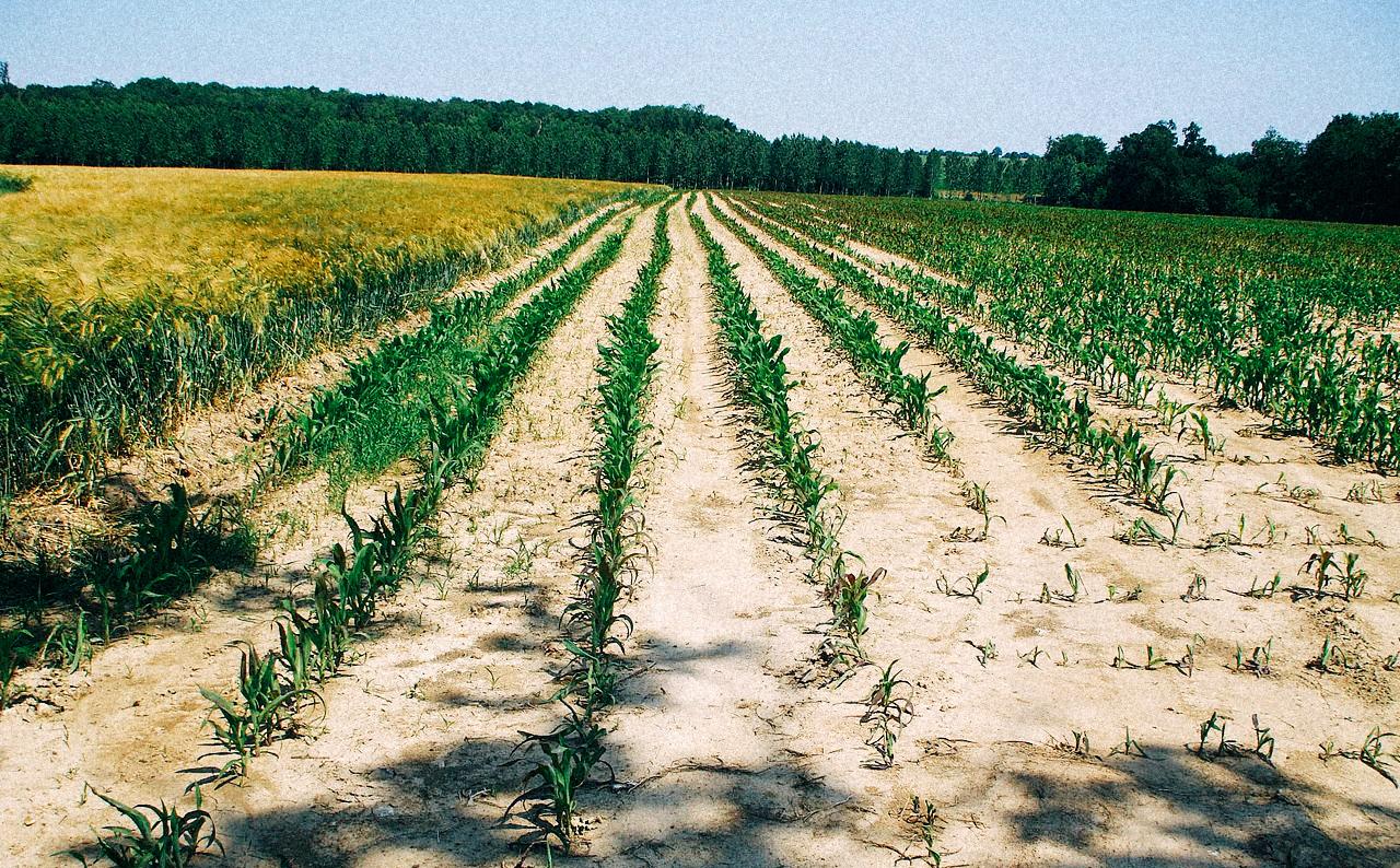 Vers un quatrième été de sécheresse en France