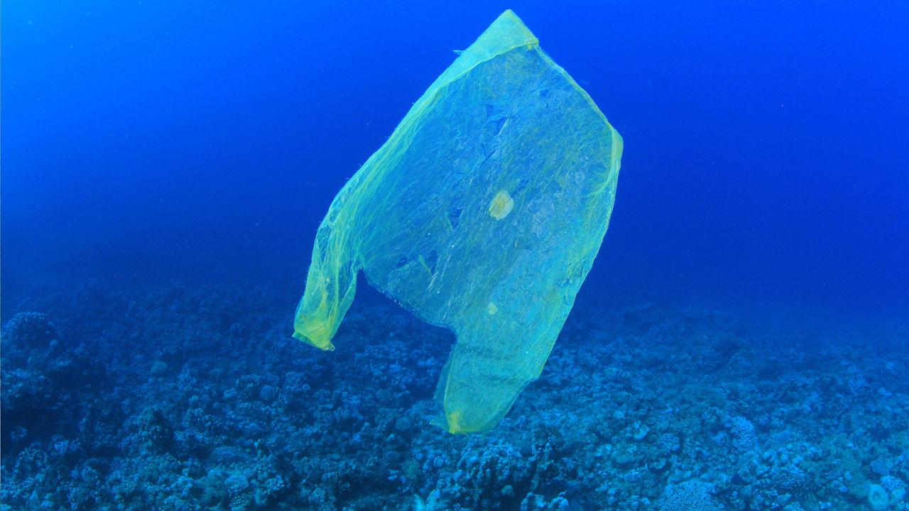 Le plastique, serial killer des océans