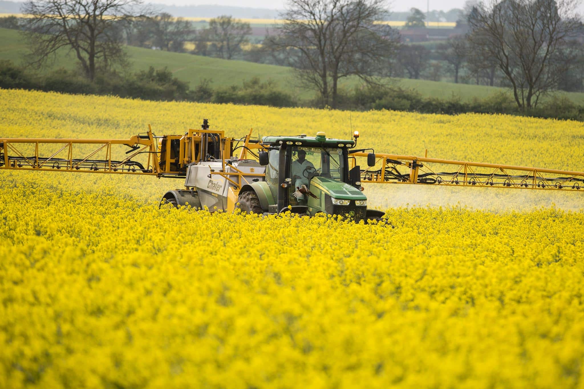 L&rsquo;État attaqué pour son inaction contre l&rsquo;effondrement de la biodiversité