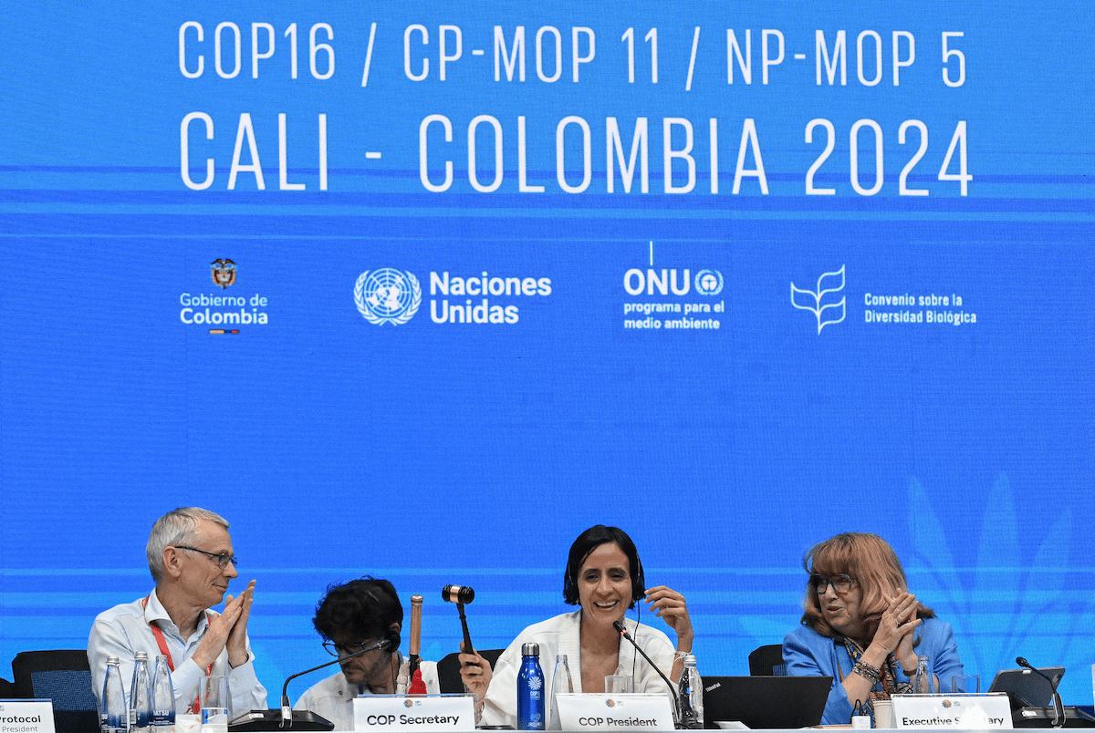 Après les échecs de Cali, la COP16 sur la biodiversité reprendra en février à Rome