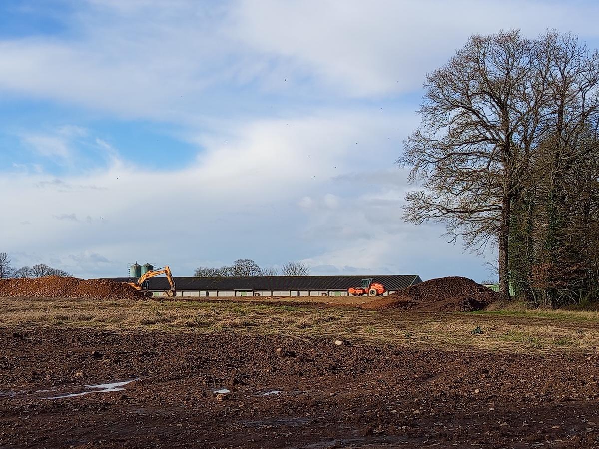 «Des poulaillers géants en bordure de forêt, c’est de la folie» : en Brocéliande, bientôt 190 000 volailles dans l’usine XXL