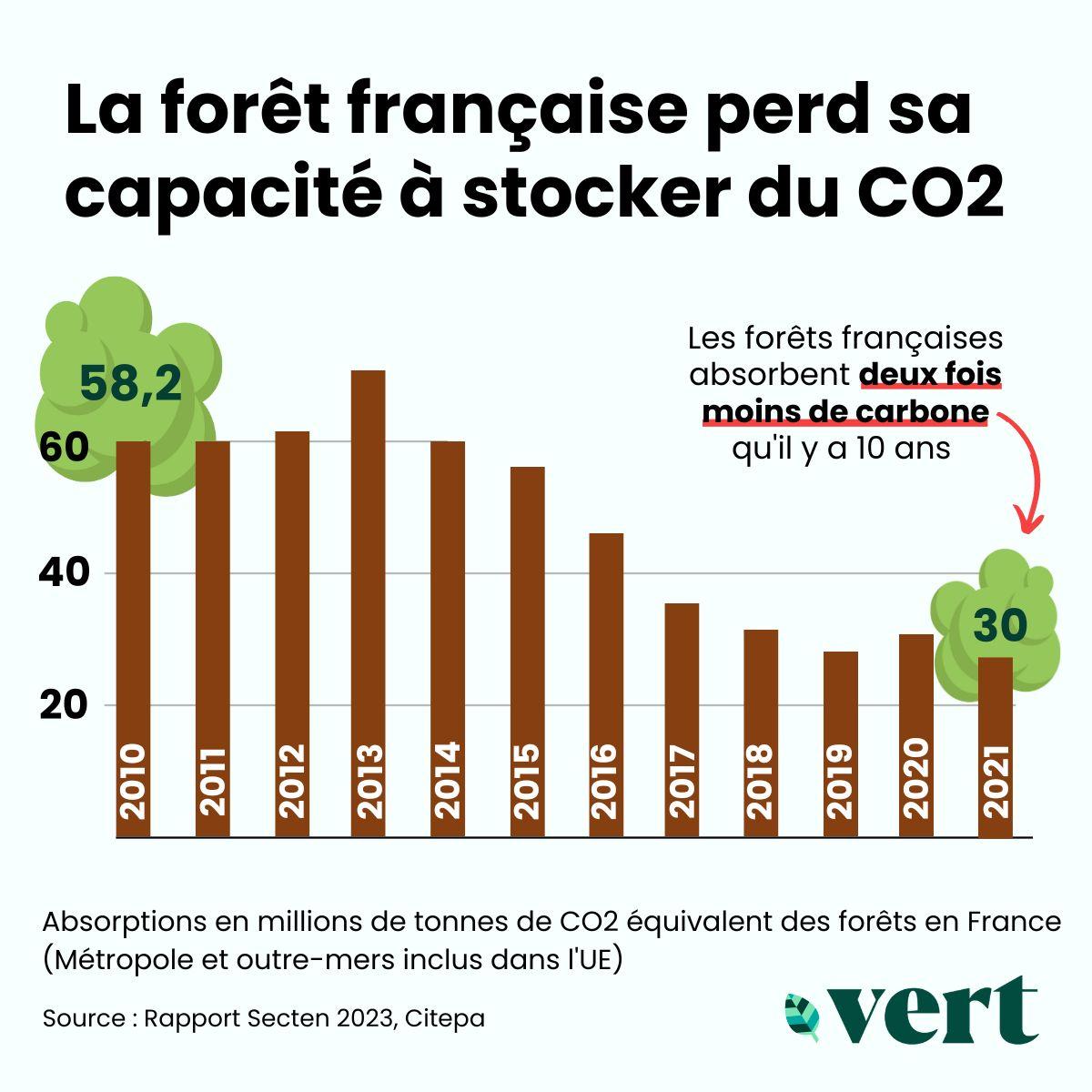 La forêt française perd sa capacité à stocker du CO2
