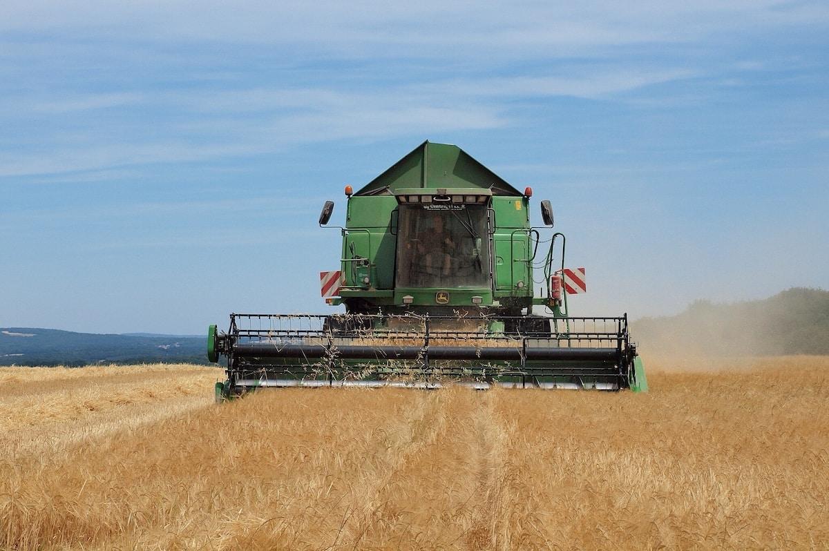 Moissons précoces, plantes brûlées, bétail en stress… la canicule bouleverse aussi l’agriculture