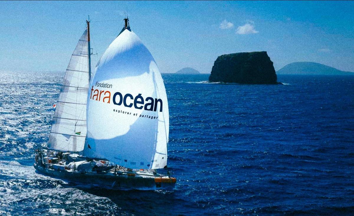 La goélette Tara remet les voiles