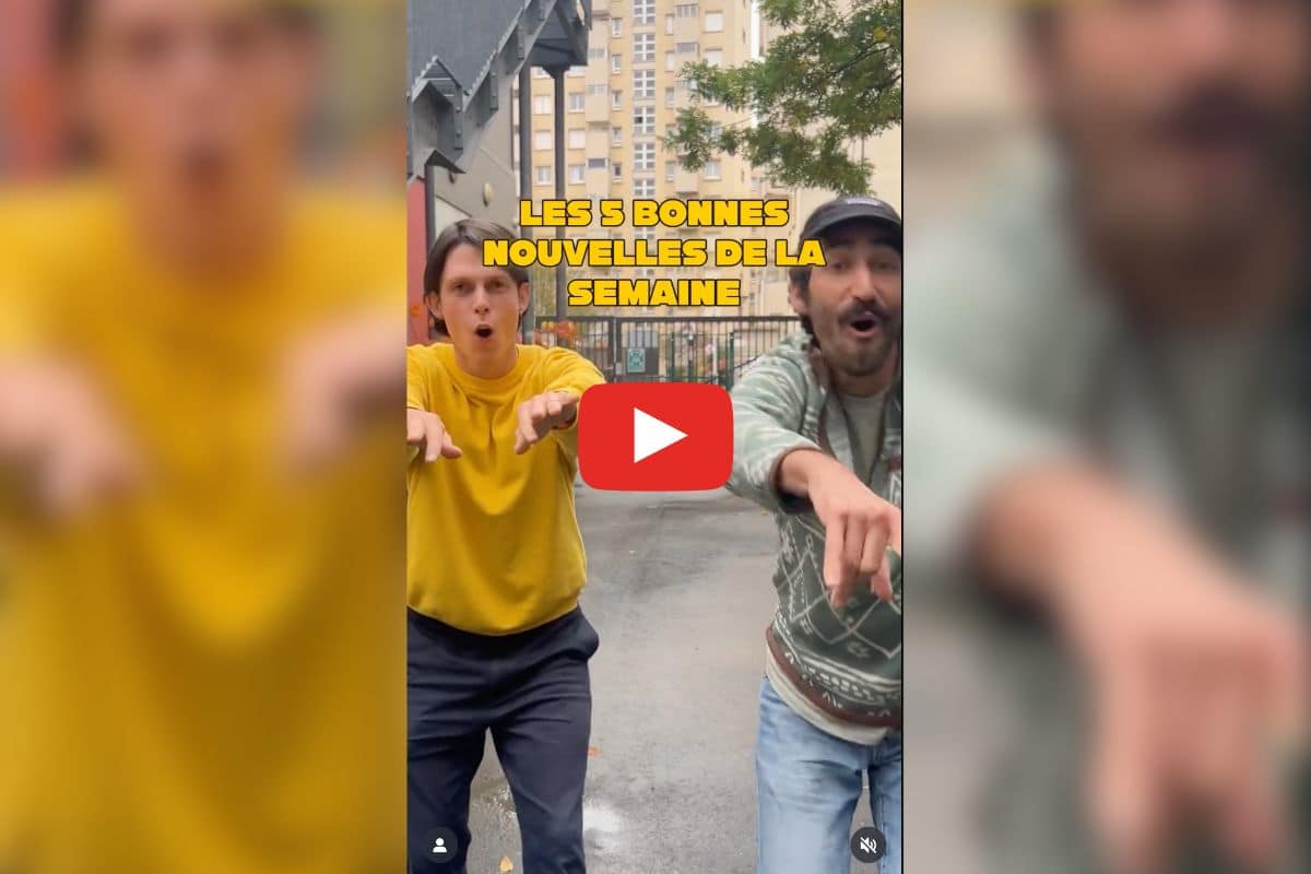 Nouvelle espèce d’abeille, sauvetage du train de nuit Paris-Berlin : les bonnes nouvelles de la semaine