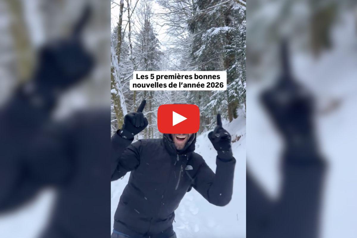 Le Royaume-Uni veut interdire d’ébouillanter les crustacés, fin des farts de ski enrichis en PFAS : les bonnes nouvelles de la semaine