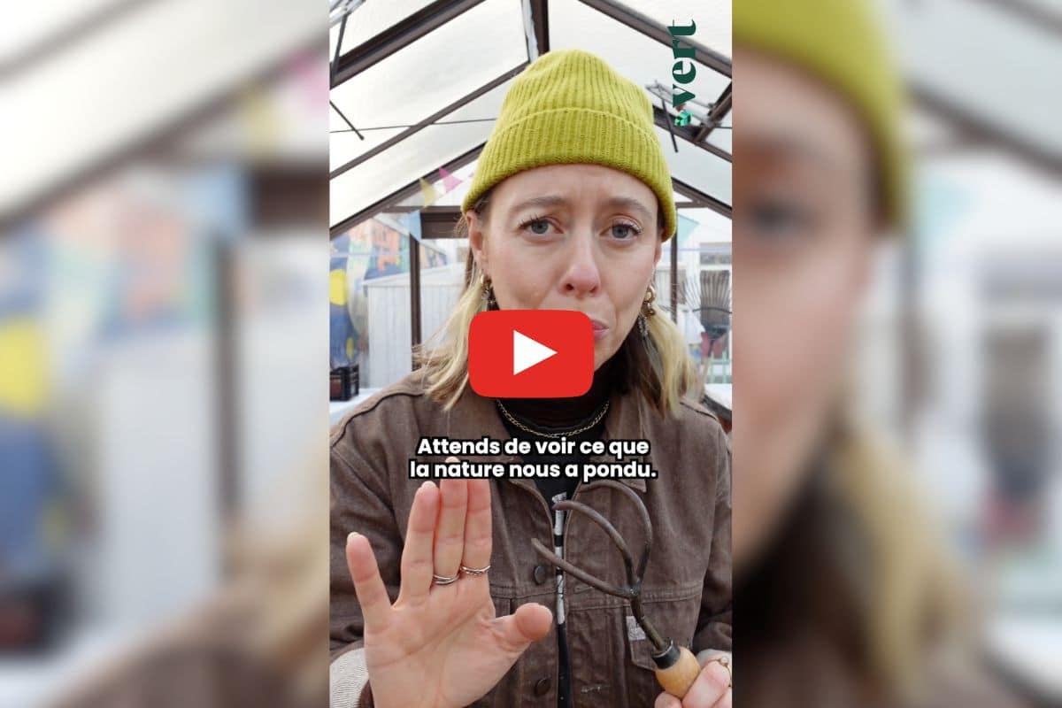 Ophélie Damblé en est sûre, les menteurs sont aussi dans la nature