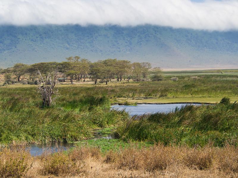 Eacop : un nouveau rapport pointe les pratiques accablantes de TotalEnergies en Tanzanie