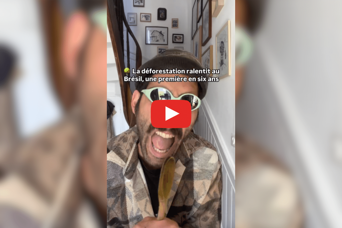 Copenhague récompense les touristes écolos, la déforestation ralentit au Brésil… les bonnes nouvelles de la semaine