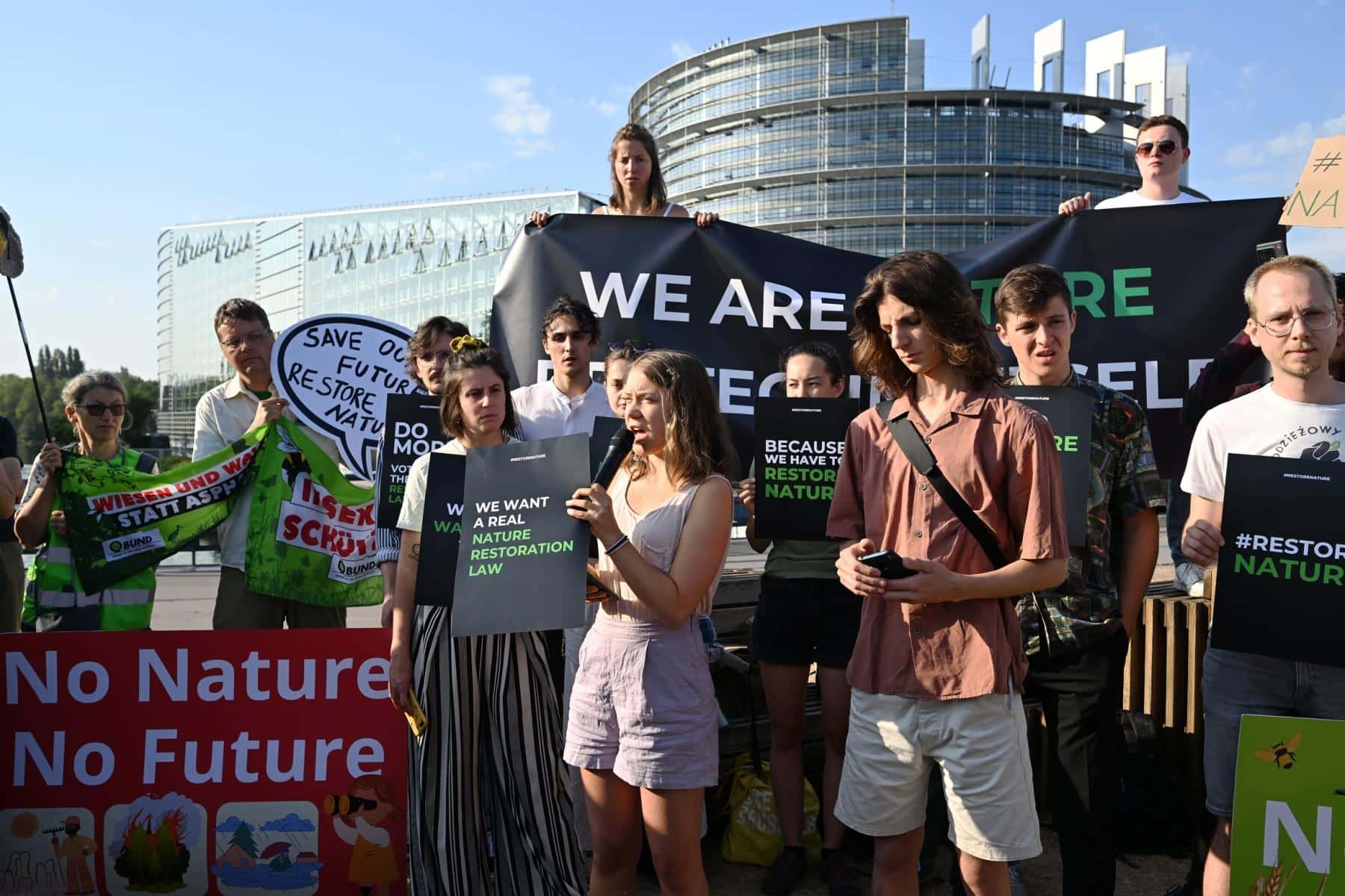 Au Parlement européen, un texte clé pour la restauration de la biodiversité mis en péril par une alliance des droites «contre-nature»