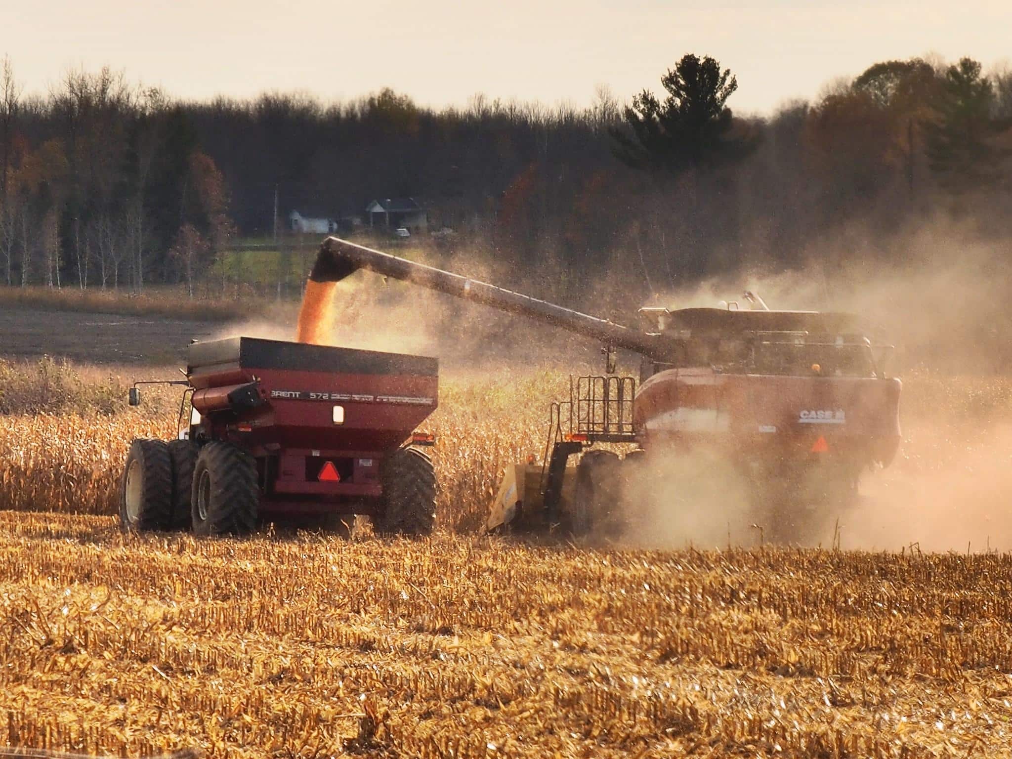 Au motif de la guerre en Ukraine, l&rsquo;Europe met en pause le verdissement de son agriculture