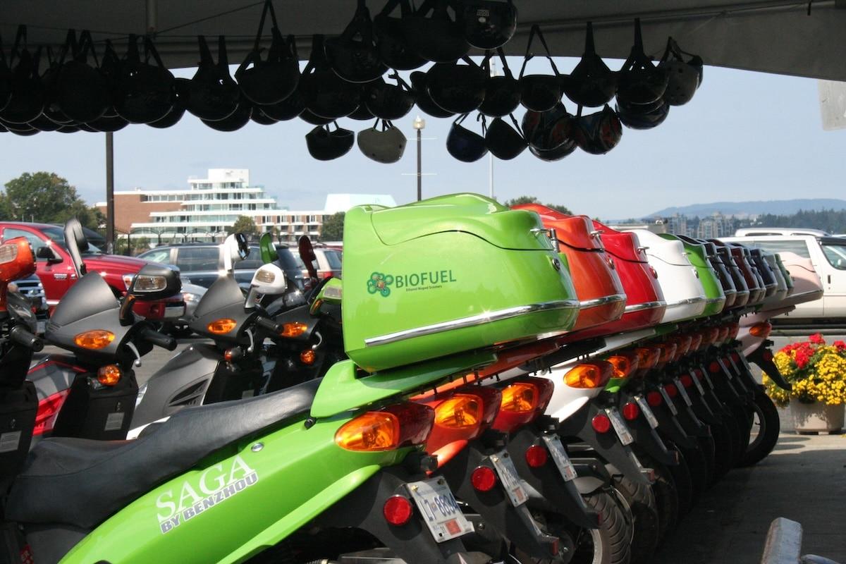 Plantations d’arbres, géo-ingénierie, biocarburants… ces fausses bonnes idées pour le climat qui mettent en danger la biodiversité