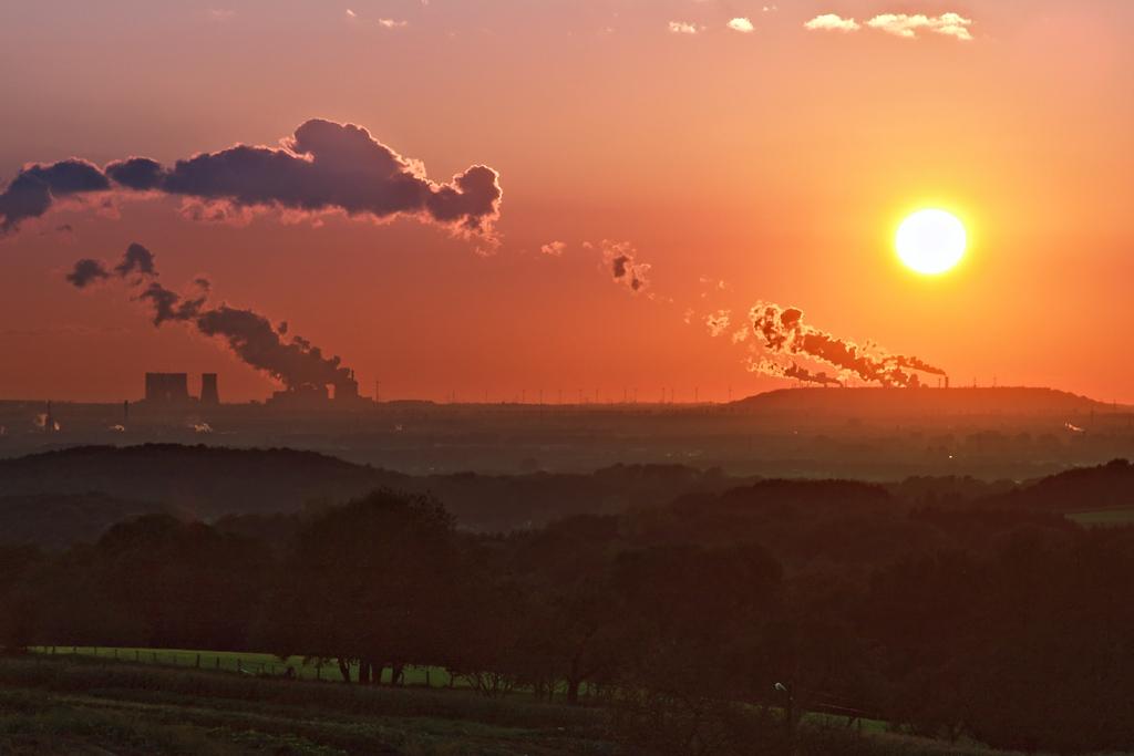 Chaque année, les Etats accordent 1 800 milliards de dollars de subventions qui nuisent au vivant
