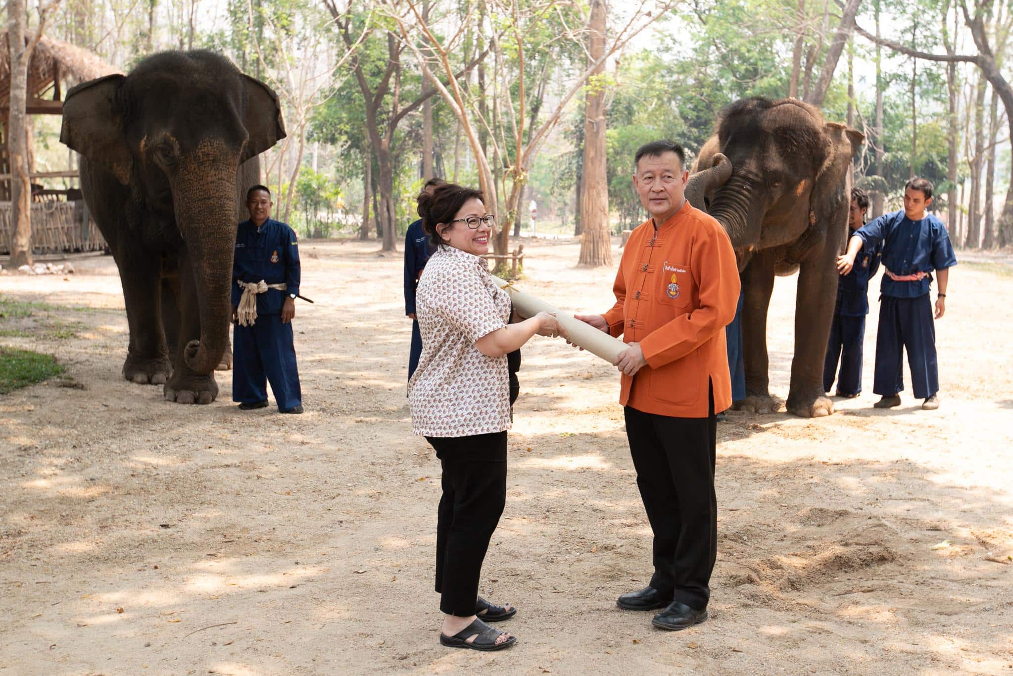 Plusieurs centaines d&rsquo;espèces, dont la quasi-totalité des requins, désormais protégées du commerce international illégal