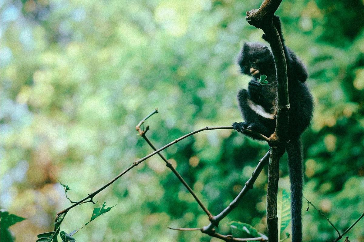 Les excréments au secours du vivant 
