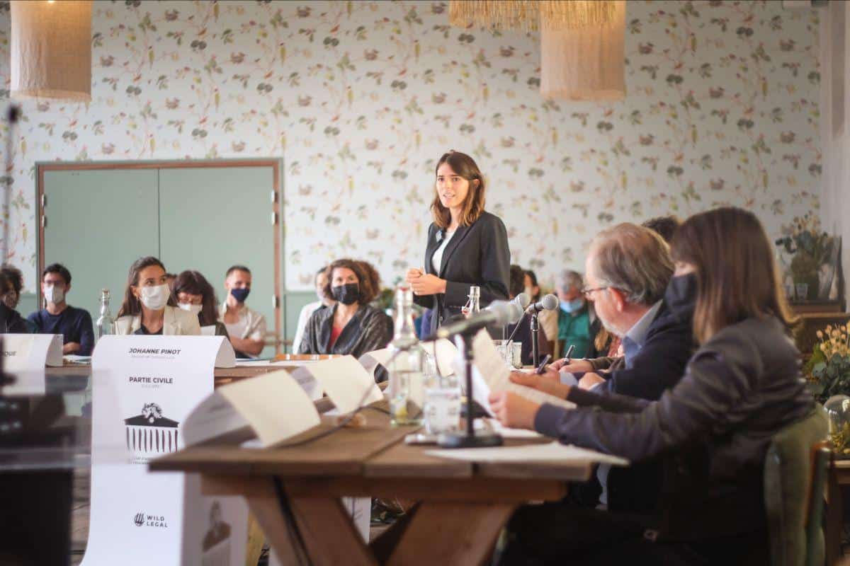 Un procès fictif pour donner de vrais droits aux animaux d’élevage et combattre les algues vertes en Bretagne