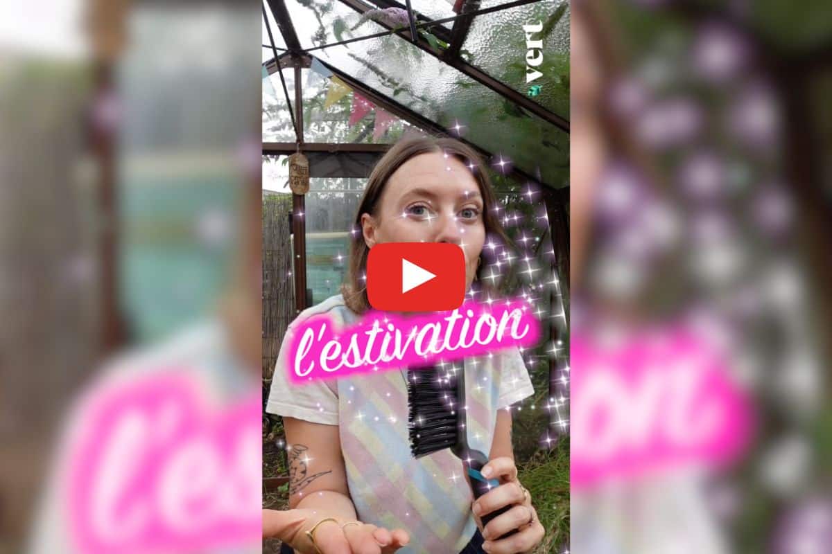 Face aux fortes chaleurs, ces animaux hibernent… l’été !