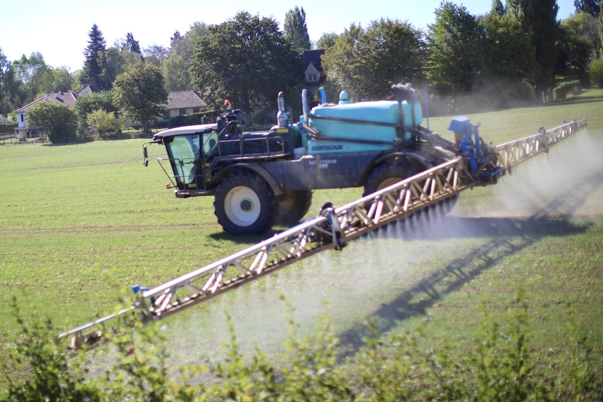Insectes, oiseaux, champignons, microbes… une étude prouve la nocivité des pesticides pour l’ensemble de la biodiversité