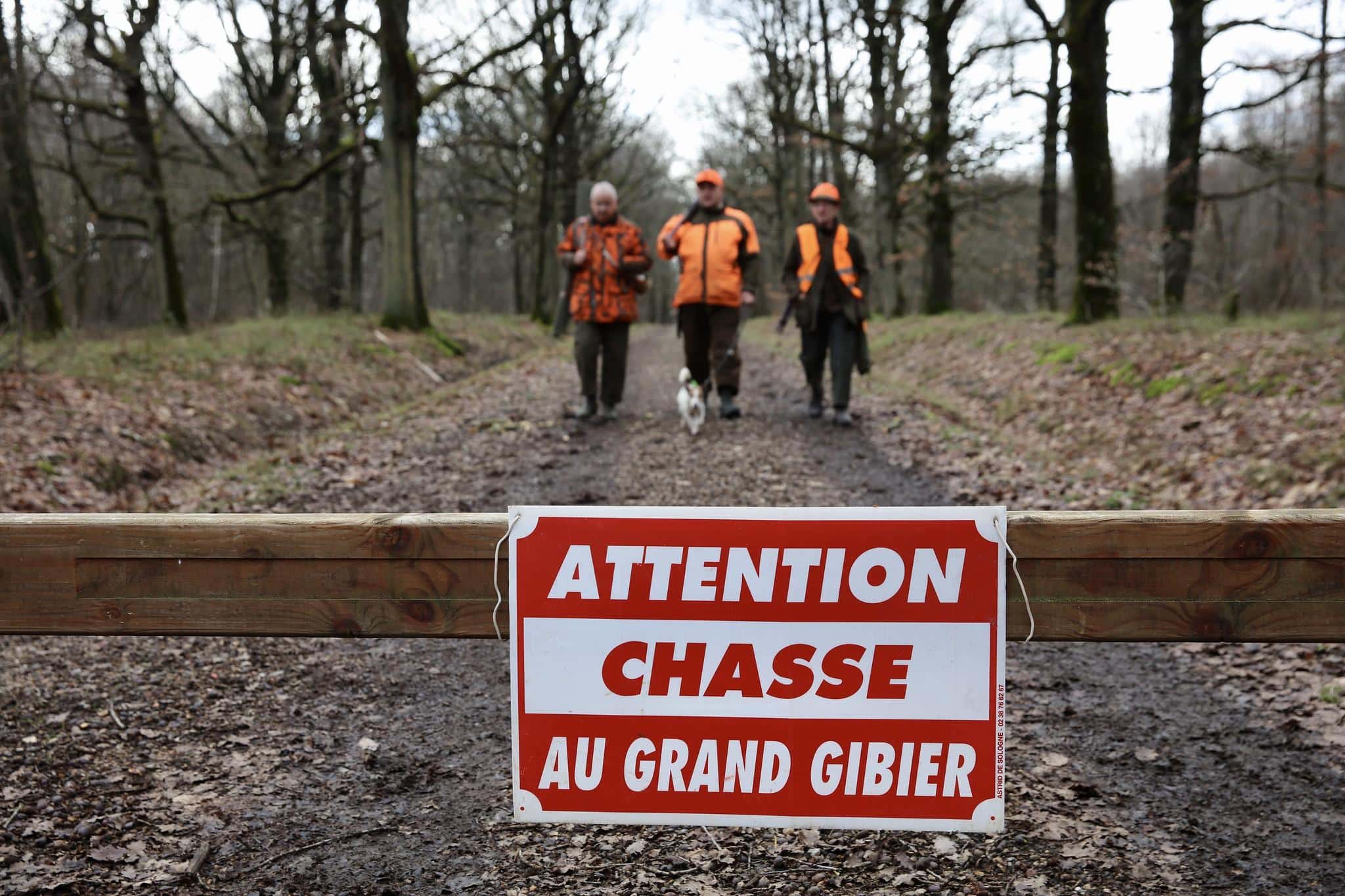 Accident mortel dans le Cantal&nbsp;: que proposent les principaux candidats sur la chasse&nbsp;?