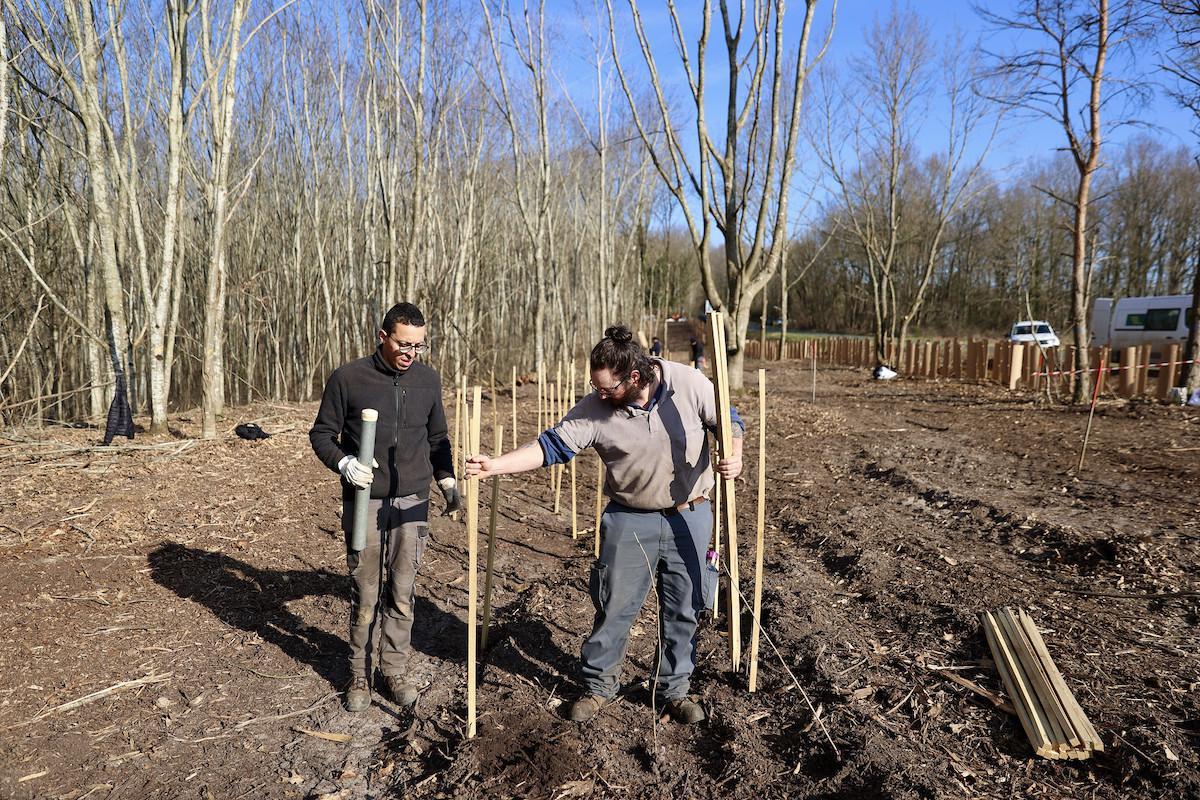 Un milliard d’arbres, 50 000 kilomètres de haies, des îlots de fraîcheur dans les écoles… le plan du gouvernement pour sauver la biodiversité