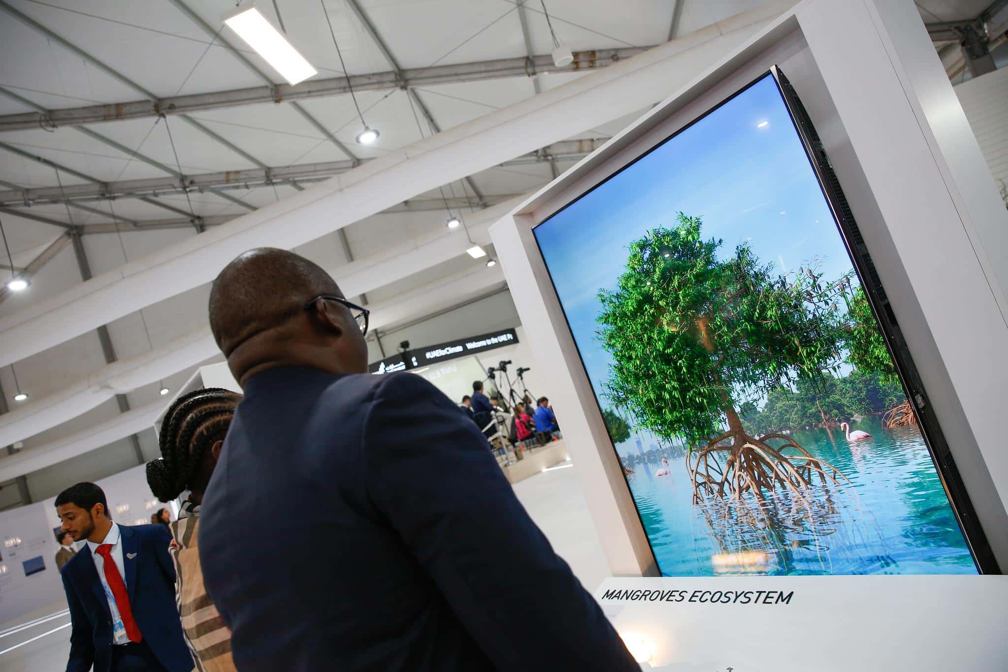 À trois semaines de la Conférence des nations unies sur la biodiversité, le sujet peine à s’établir dans les négociations climatiques