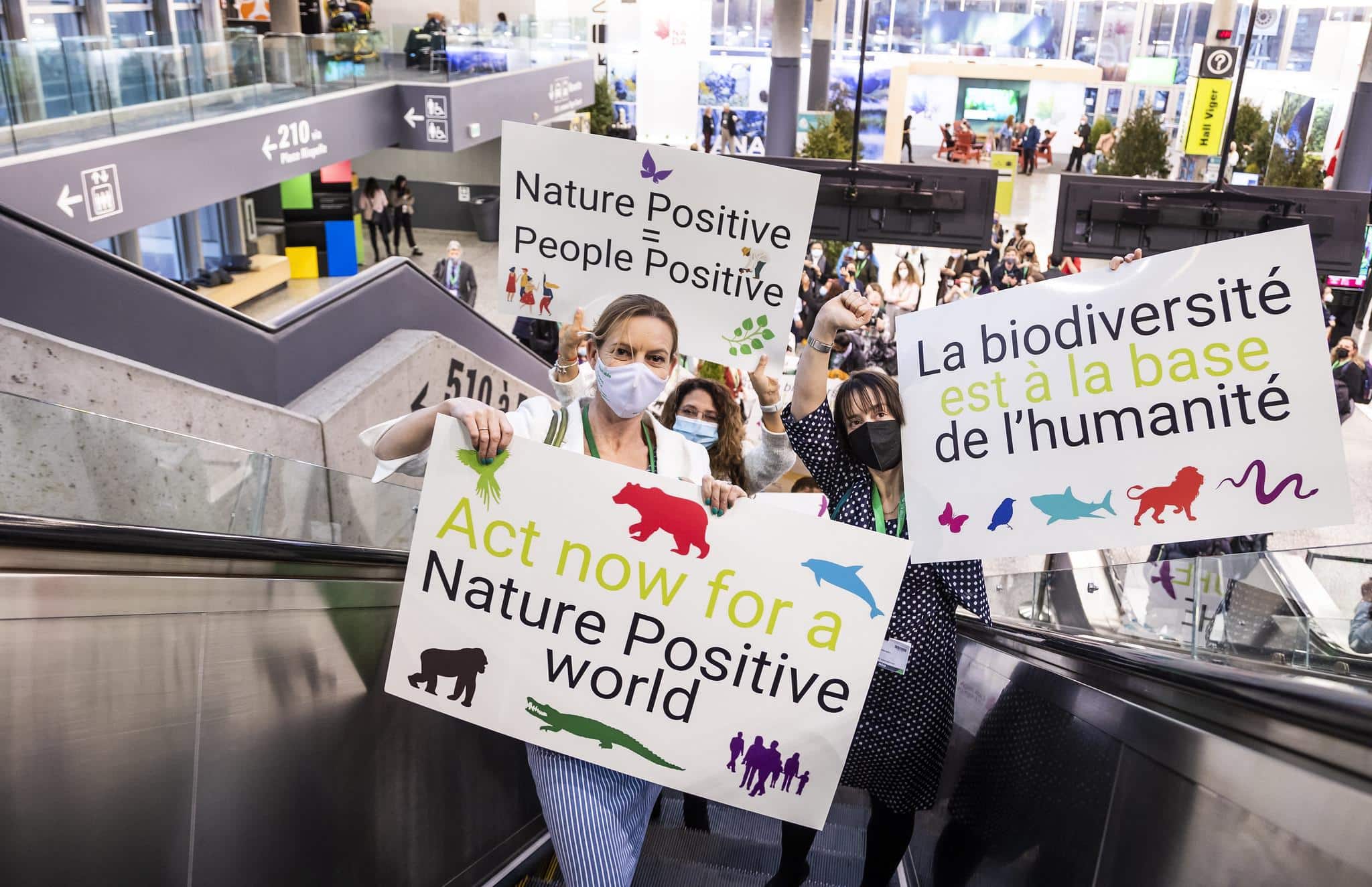 « Nature positive » : derrière un objectif de restauration des écosystèmes, le greenwashing en embuscade