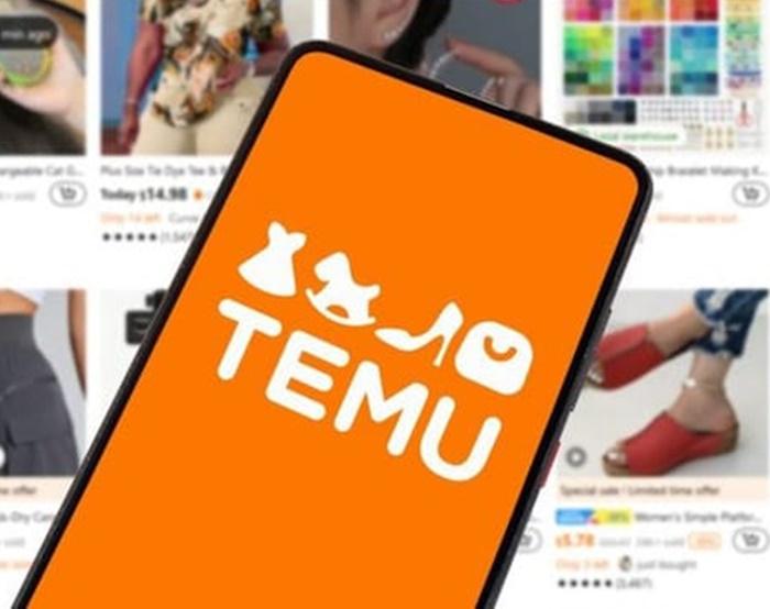 Douze millions de clients par mois : la plateforme Temu inonde le marché français de produits dangereux pour la santé et l’environnement