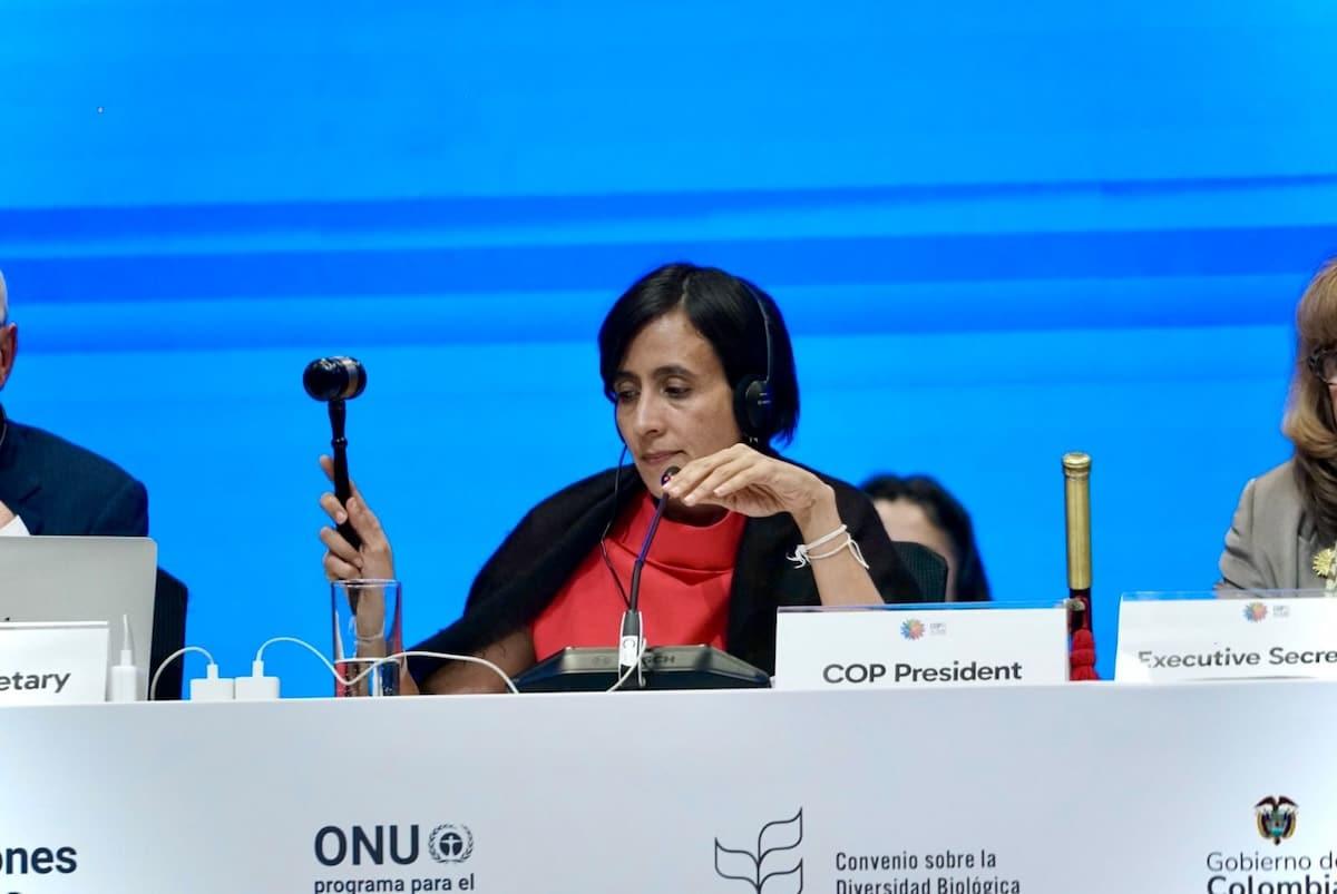 COP16 sur la biodiversité, le retour : pourquoi les négociations reprennent-elles cette semaine ?